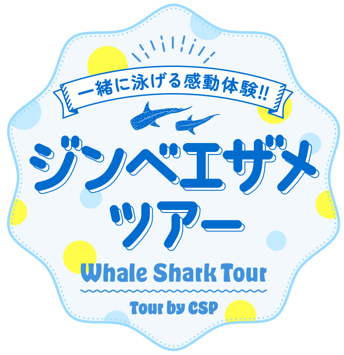 Whaleshark Tour
