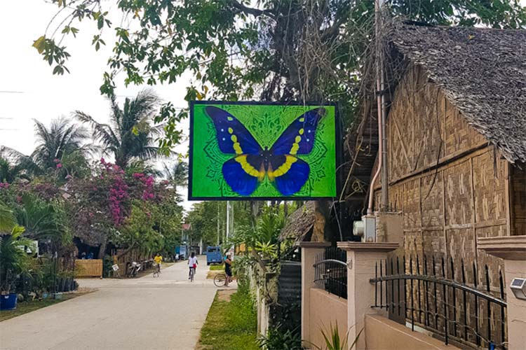 バタフライガーデンのエントランス