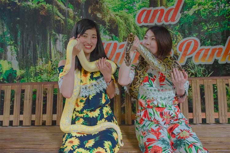 巨大ヘビと記念写真を撮ろう