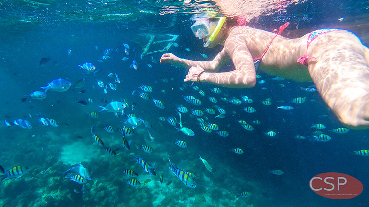 シュノーケリング