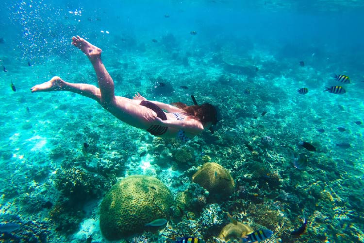 青く透き通った海の海底でダイビングを楽しむ1人の女性