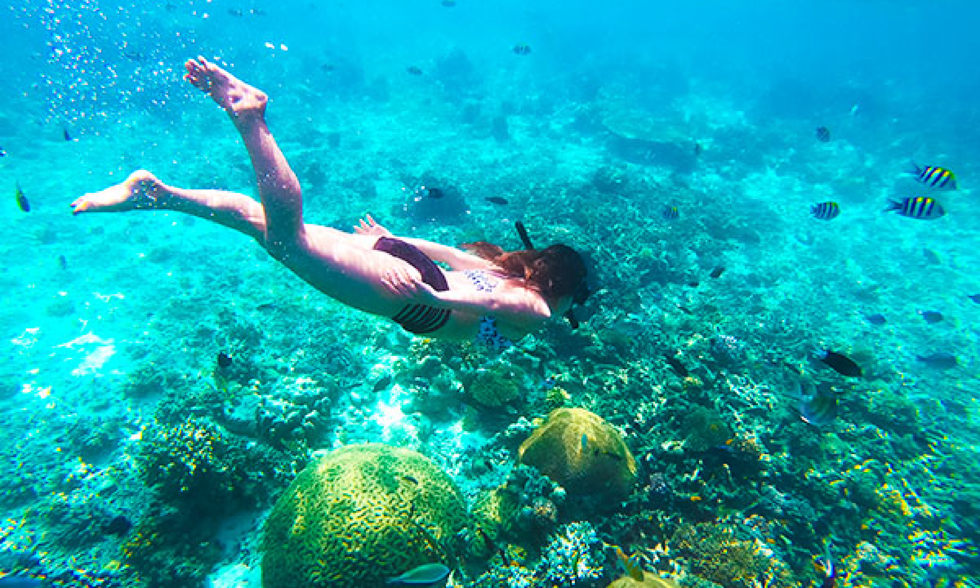 シュノーケリングをしながら、海底を目指一人の女性