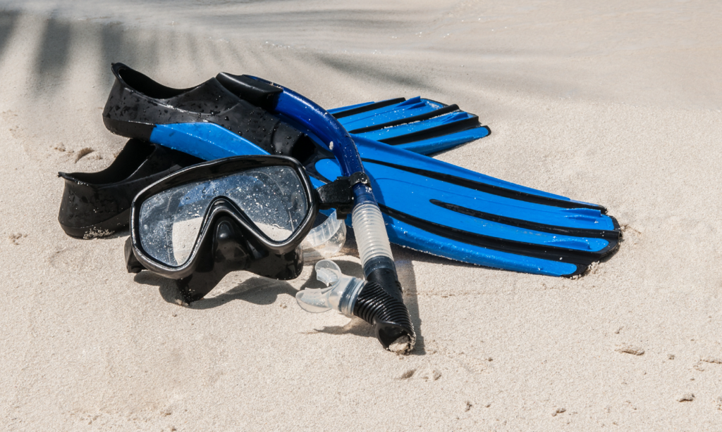 浜辺に置かれたシュノーケリングマスクとフィン