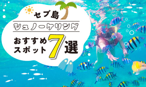 セブ島シュノーケルおすすめスポット7選アイキャッチ画像