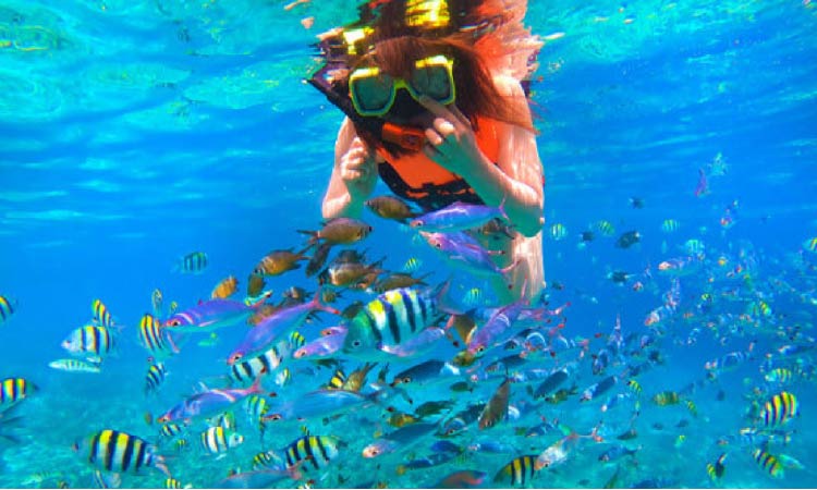 真っ青な海で色とりどりの熱帯魚を見ている女性