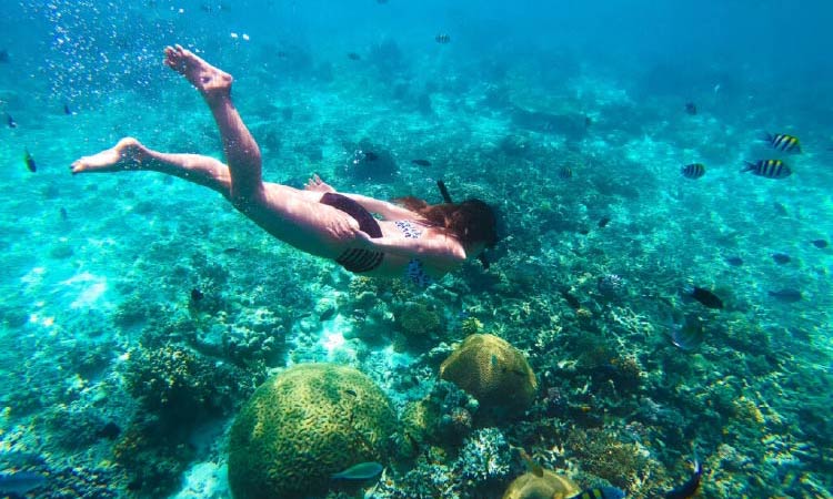 青く透き通った海の海底でダイビングを楽しむ1人の女性