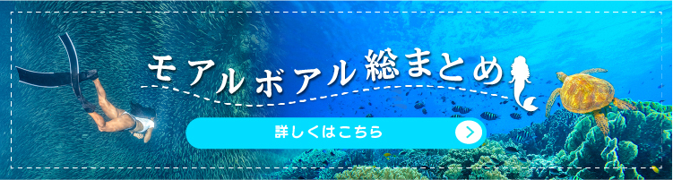 モアルボアル総まとめ