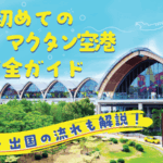初めてのセブマクタン空港完全ガイド