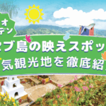 シラオガーデンアイキャッチ画像