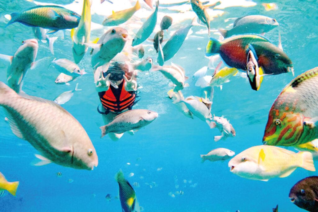 ナルスアン島でのシュノーケリング