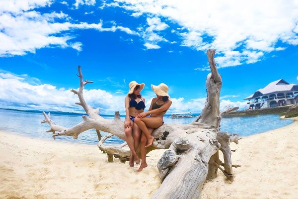 パンダノン島の流木で撮影