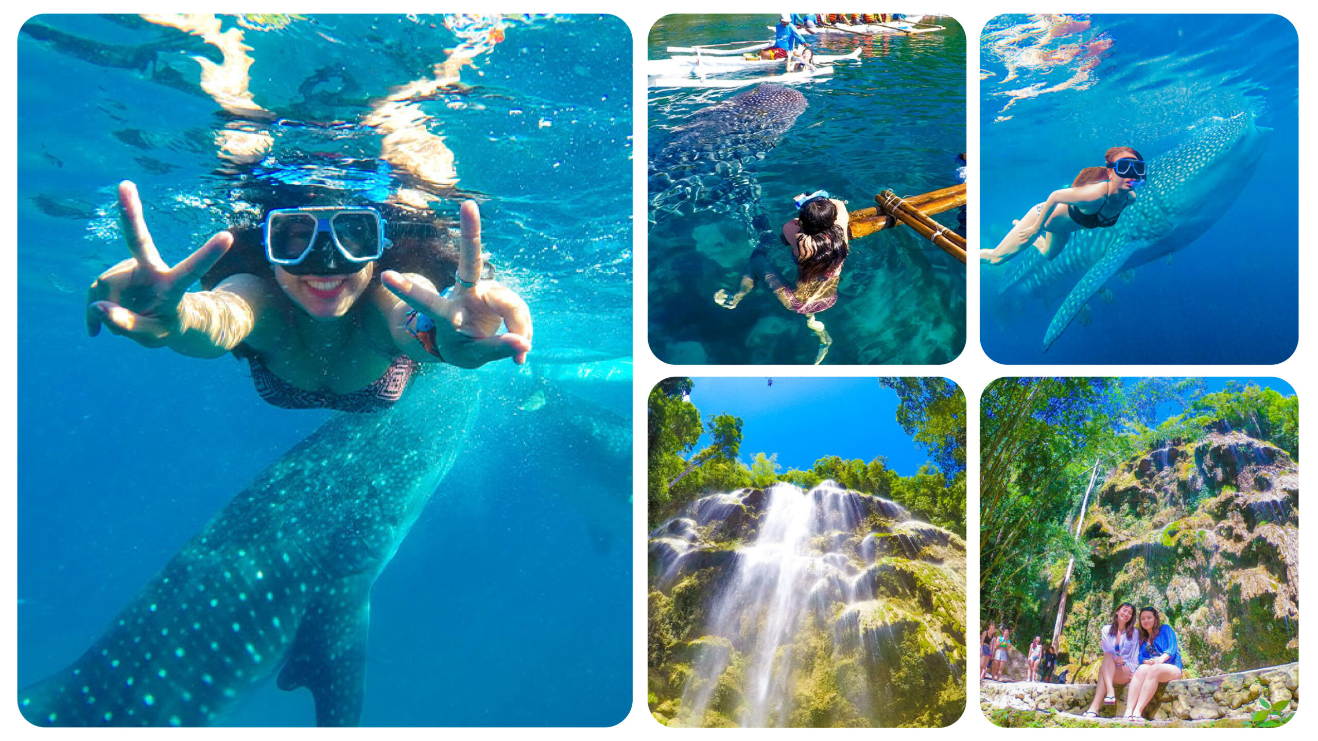 ジンベイザメ＆ツマログ滝ツアー