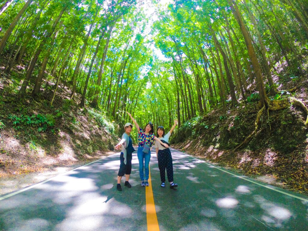 マンメイドフォレストを背景に写真撮影する女性3名