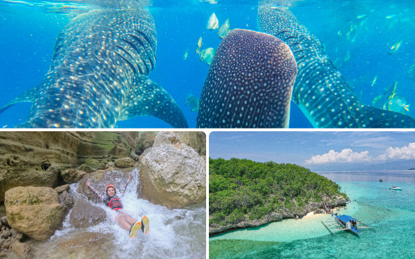 ジンベイザメ & スミロン島 & カワサン滝ツアー