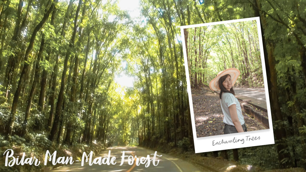 マンメイドフォレストでの旅のワンショット