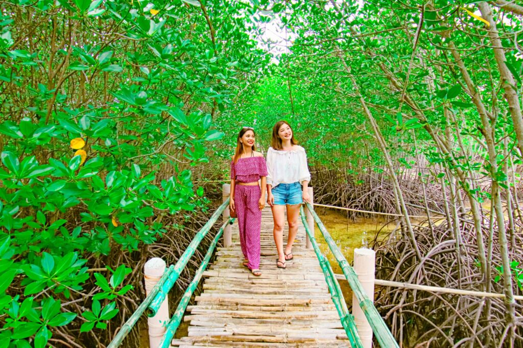 マングローブガーデンの中を歩く女性2人