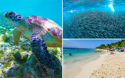 モアルボアルツアー