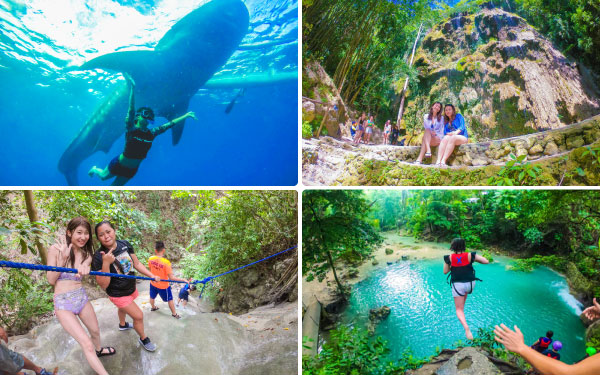 ジンベイザメ＆3滝巡りツアー