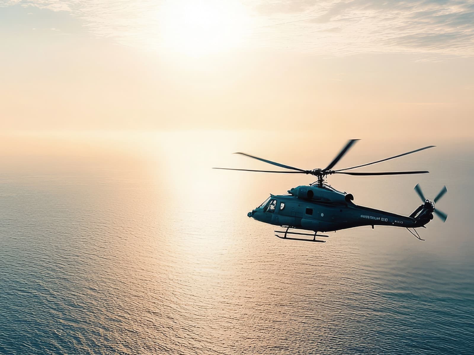 ヘリコプターで行くジンベイザメツアー｜オスロブ プレミアム体験