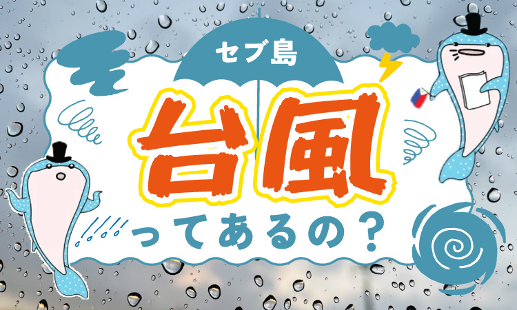セブ島って台風はあるの？二匹のジンベイちゃんのアイキャッチ画像