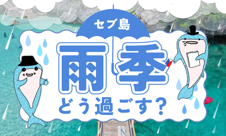 セブ島雨季