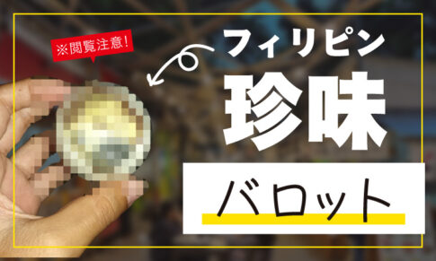 フィリピンの珍味バロット