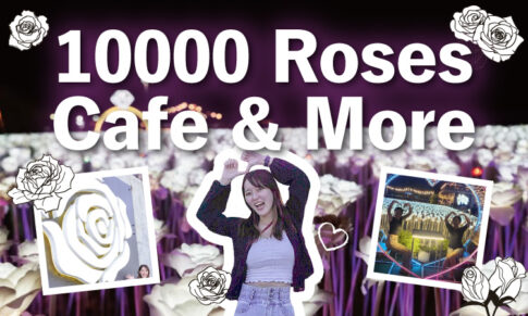 大人気な映えスポット！10000RosesCafe&More
