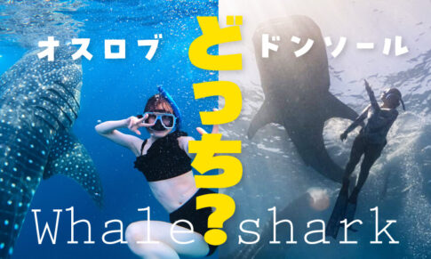 オスロブとドンソールどっちがいい？ジンベイザメにあいにく
