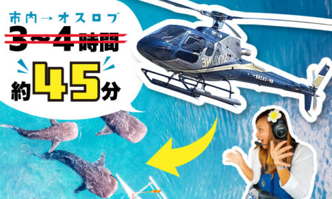 セブ市内からオスロブまでヘリコプターで約45分
