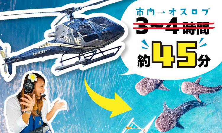 セブ市内からオスロブまでヘリコプターで約45分